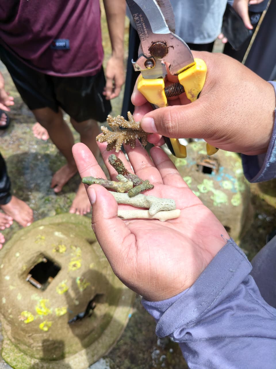 UIN SATU Gandeng Sahabat Alam Indonesia, Dorong Mahasiswa Jadi Garda Depan Penyelamatan Laut 2 20251118 UIN SATU Gandeng Sahabat Alam Indonesia Dorong Mahasiswa Jadi Garda Depan Penyelamatan Laut 4